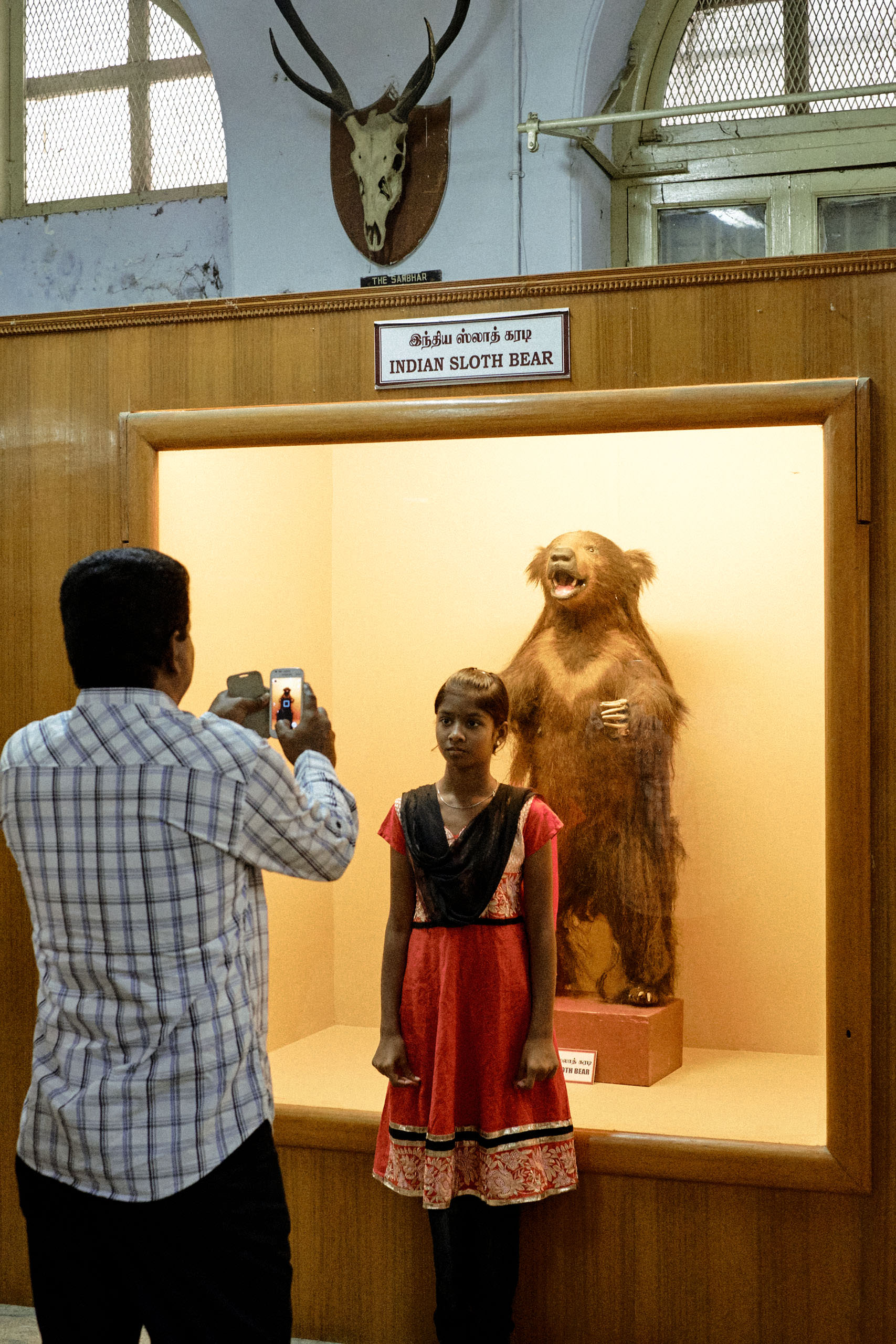 Government Art Museum Chennai